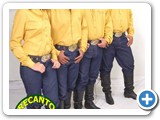 Catira Brasil - 010