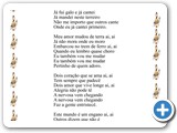 Botina Aperta no P