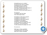 Goianinha