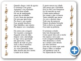 Vida de Sertanejo