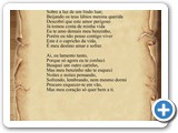 Capricho da Vida