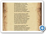 Paineira Velha