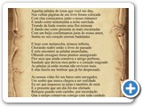 Ptalas de Rosa
