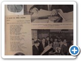 Palmeira - Recortes de Revistas