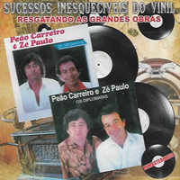 Disco de vinil Peão Carreiro e Praense-compositores em duetos - Vinil  Records