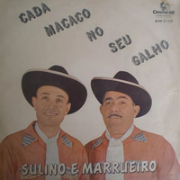 O Peão e o Ricaço - song and lyrics by Sulino & Marrueiro