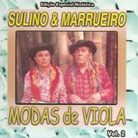 A Volta do Boiadeiro – música e letra de Sulino & Marrueiro