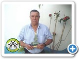 Valdemar Reis - 018
