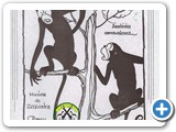 Cada Macaco no Seu Galho
